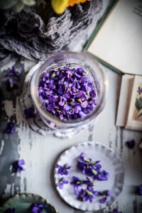 Wild violets in a mason jar and strewn about the tabletop with flower guide books opened to pages showing violets.