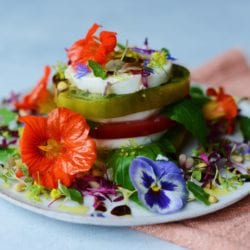 stacked summer tomato and fresh mozzarella caprese salad with edible flower, pine nuts and basil