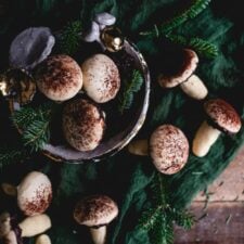 Vanilla sugar cookie mushroom cookies decorated with dark chocolate, vanilla glaze and cocoa powder are displayed in a ceramic mushroom decorated bowl and on dark green glaze fabric with clipping of evergreen beaches as props.