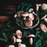 Vanilla sugar cookie mushroom cookies displayed in a ceramic mushroom bowl on dark green glaze fabric with fresh evergreens around them.