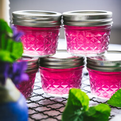 Closeup shot of 5 small quilted mason jars with metal screw top lids filled with purple/pink colored wild violet jelly stacked on top of each other.