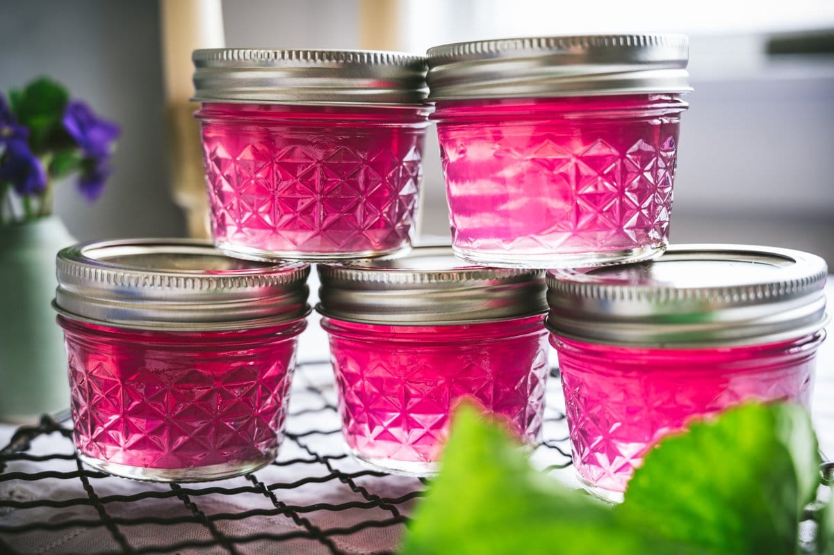Closeup shot of 5 small quilted mason jars with metal screw top lids filled with purple/pink colored wild violet jelly stacked on top of each other.