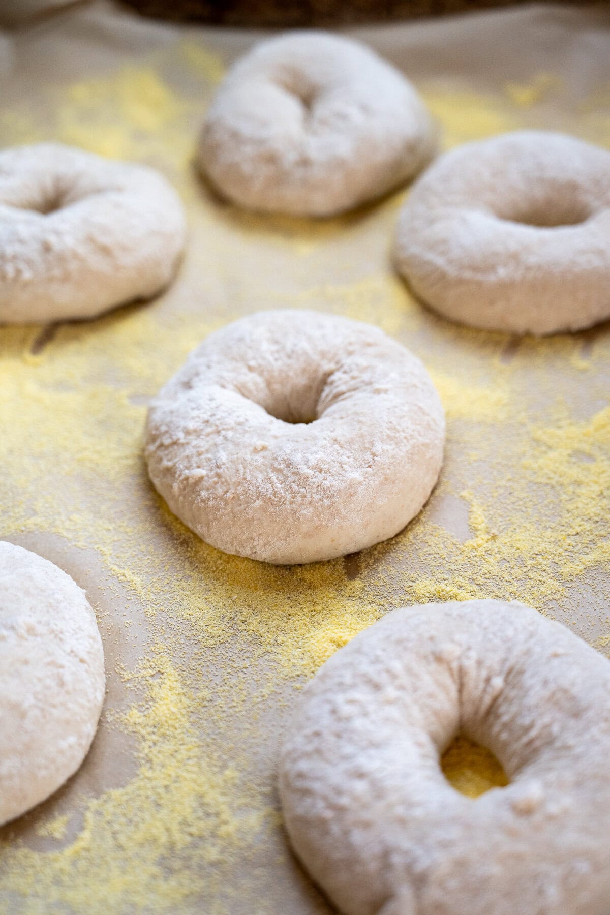 Unbaked bagels made from a sourdough bagel recipe, lightly dusted with flour and cornmeal, rest on parchment paper, ready for baking.