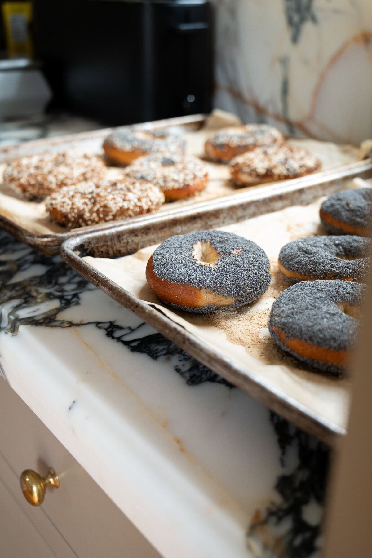 Two trays of freshly baked bagels made from a sourdough bagel recipe rest on a marble countertop. Some are coated in poppy seeds, while others feature a different seed mixture.
