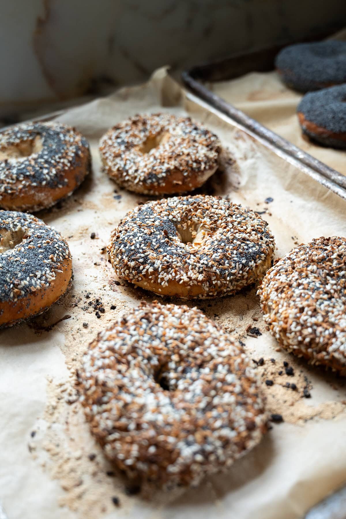 Six everything bagels made with a sourdough bagel recipe rest on parchment paper atop a baking sheet, sprinkled with poppy seeds, sesame seeds, and seasonings. Another baking sheet with poppy seed bagels sits in the background.