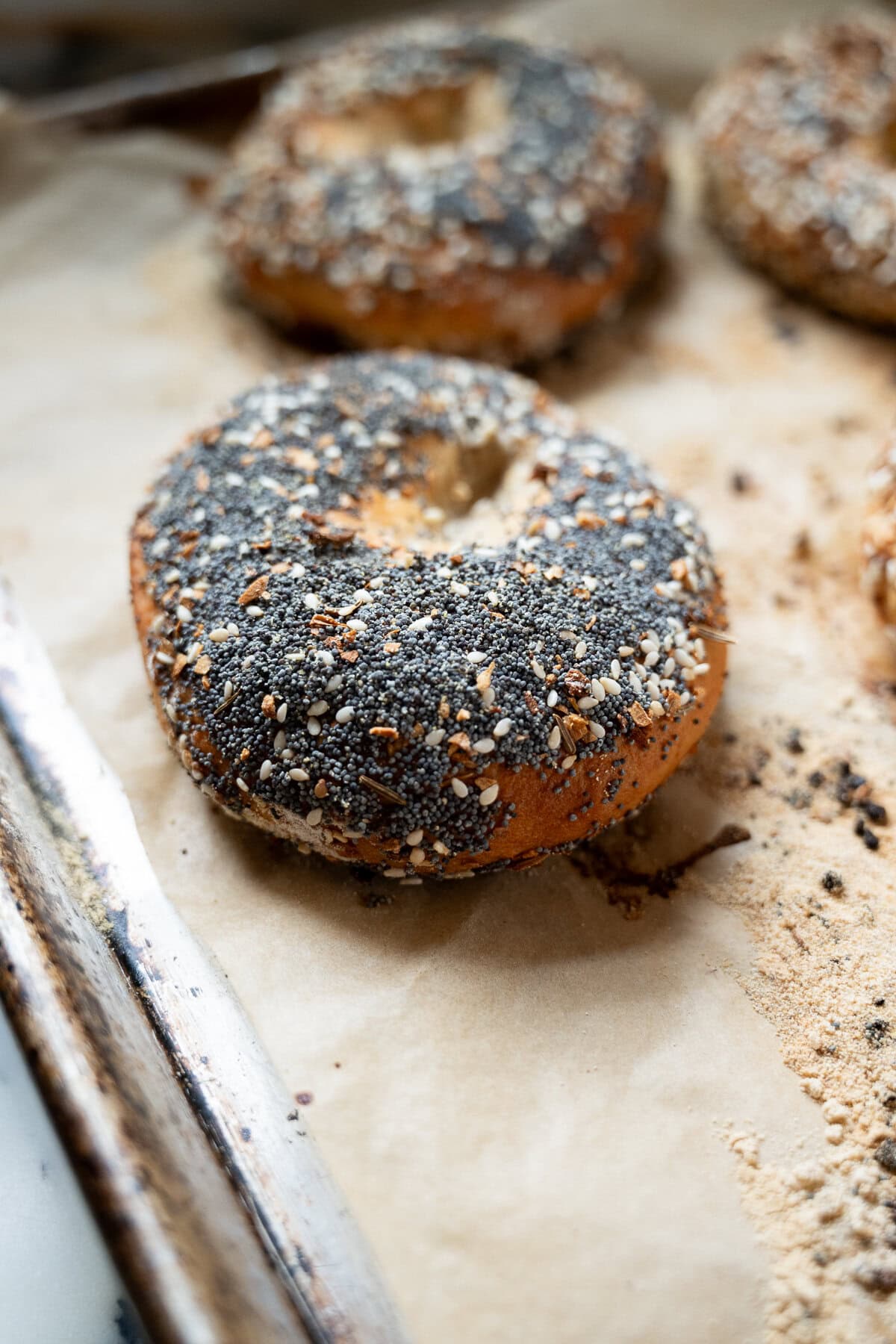 A close-up of an everything bagel made from a sourdough bagel recipe, topped with poppy seeds, sesame seeds, and seasoning, resting on a parchment-lined baking sheet.