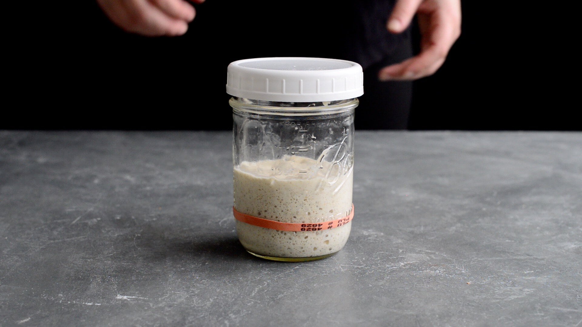 A glass jar with a white lid containing sourdough starter for a delicious artisan sourdough bread recipe sits on a gray countertop. A red rubber band marks the starter's level, while a person stands in the background, hands partially visible.