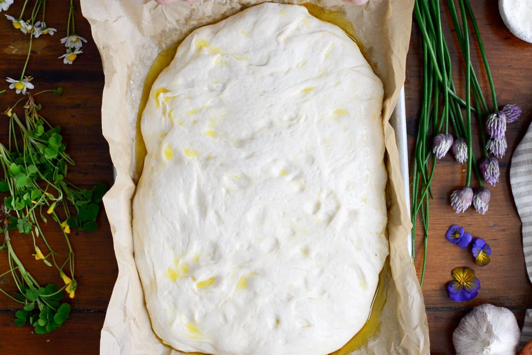 A rectangular sheet of sourdough focaccia dough rests in a parchment-lined pan, drizzled with olive oil. Fresh herbs and edible flowers surround the pan on a wooden surface, ready for this sourdough focaccia recipe.