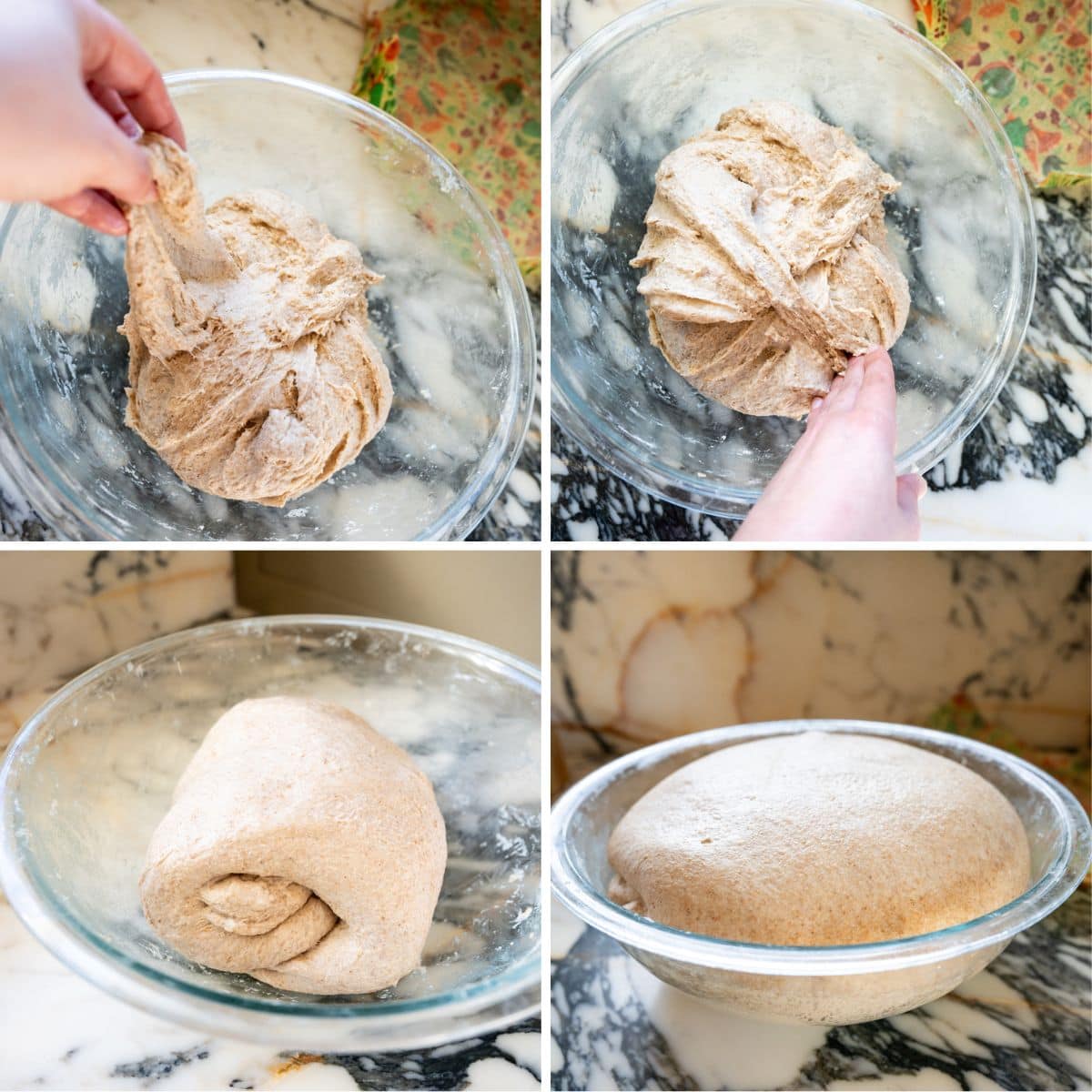 A four-panel image shows Stretch and fold process and bulk fermentation rise for cinnamon raisin sourdough bread dough