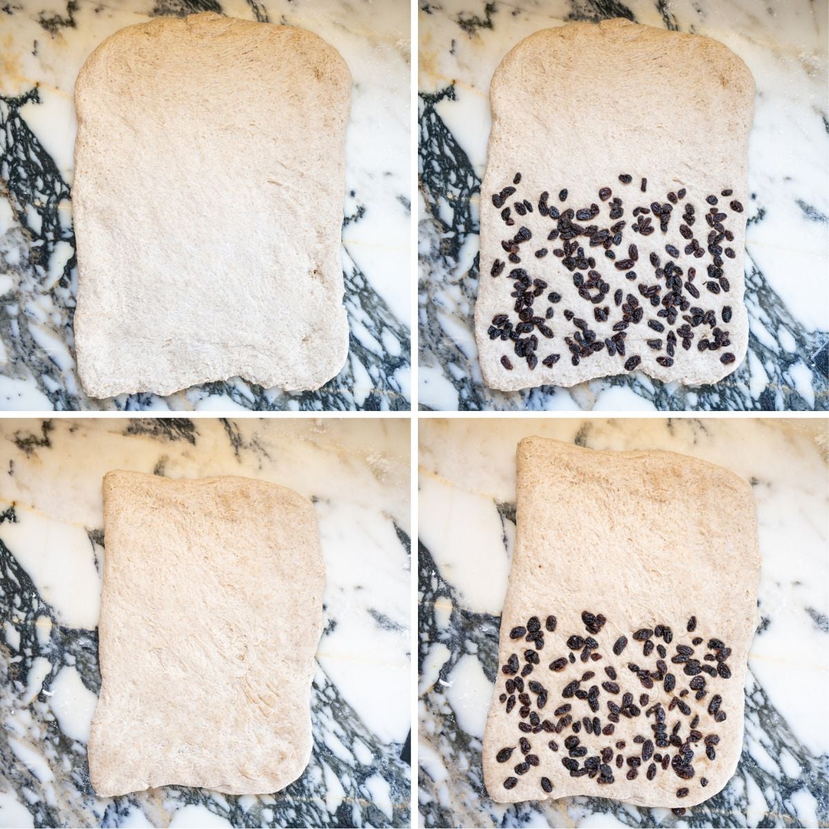 A four-panel image shows how to add raisins while shaping cinnamon raisin sourdough sandwich bread dough