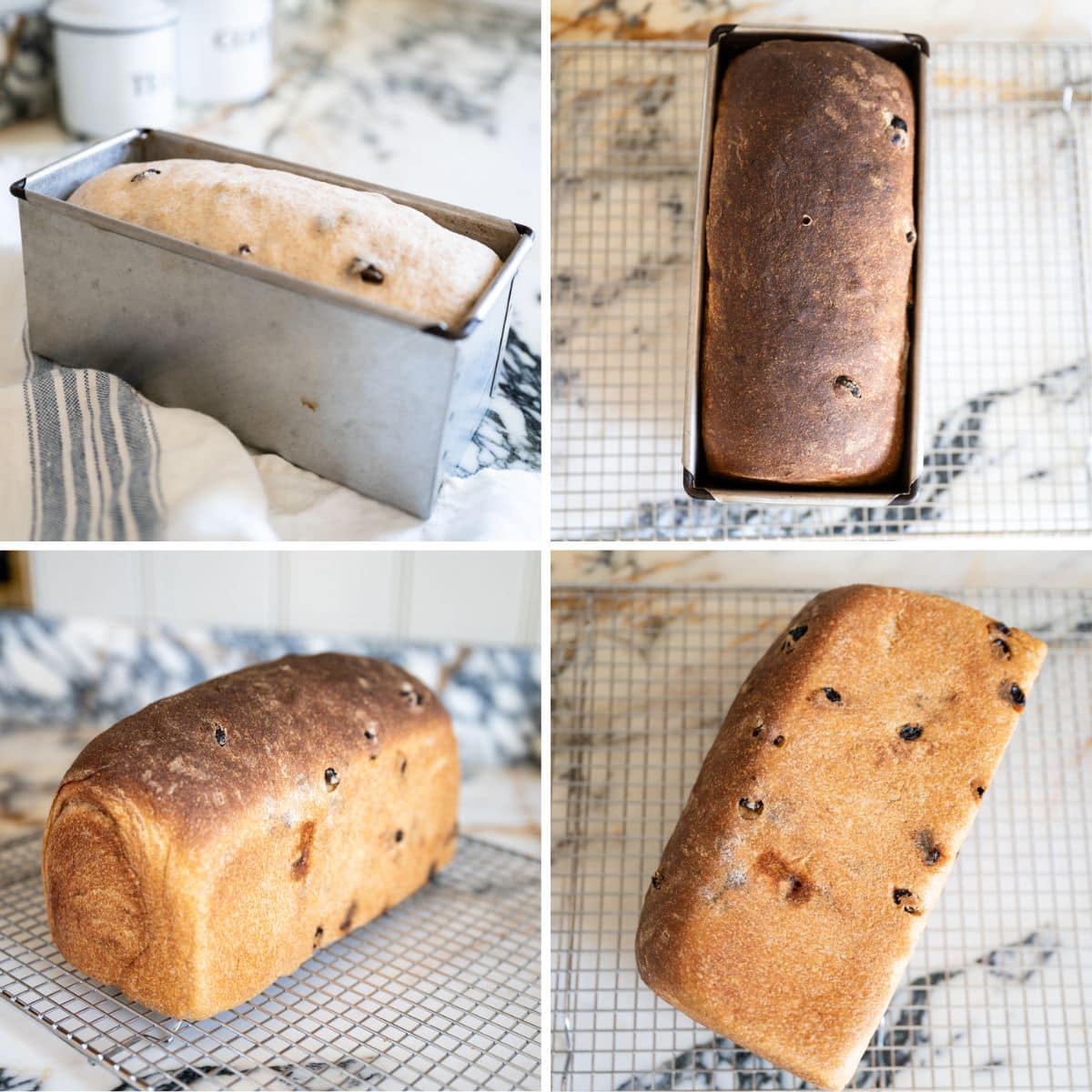 A collage of four images shows proofing and baking cinnamon raisin sourdough sandwich bread in a loaf pan and cooling on a wire rack on a marble countertop.