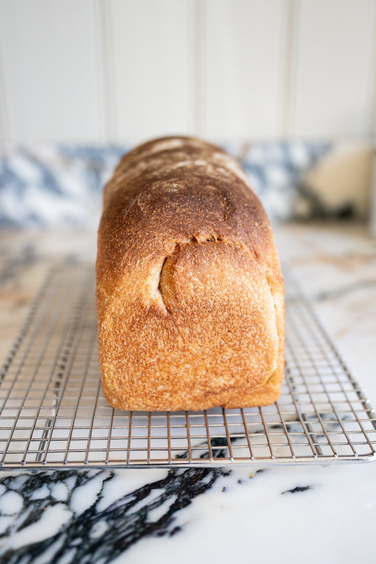 Soft honey whole wheat sourdough sandwich bread loaf on a wire rack.