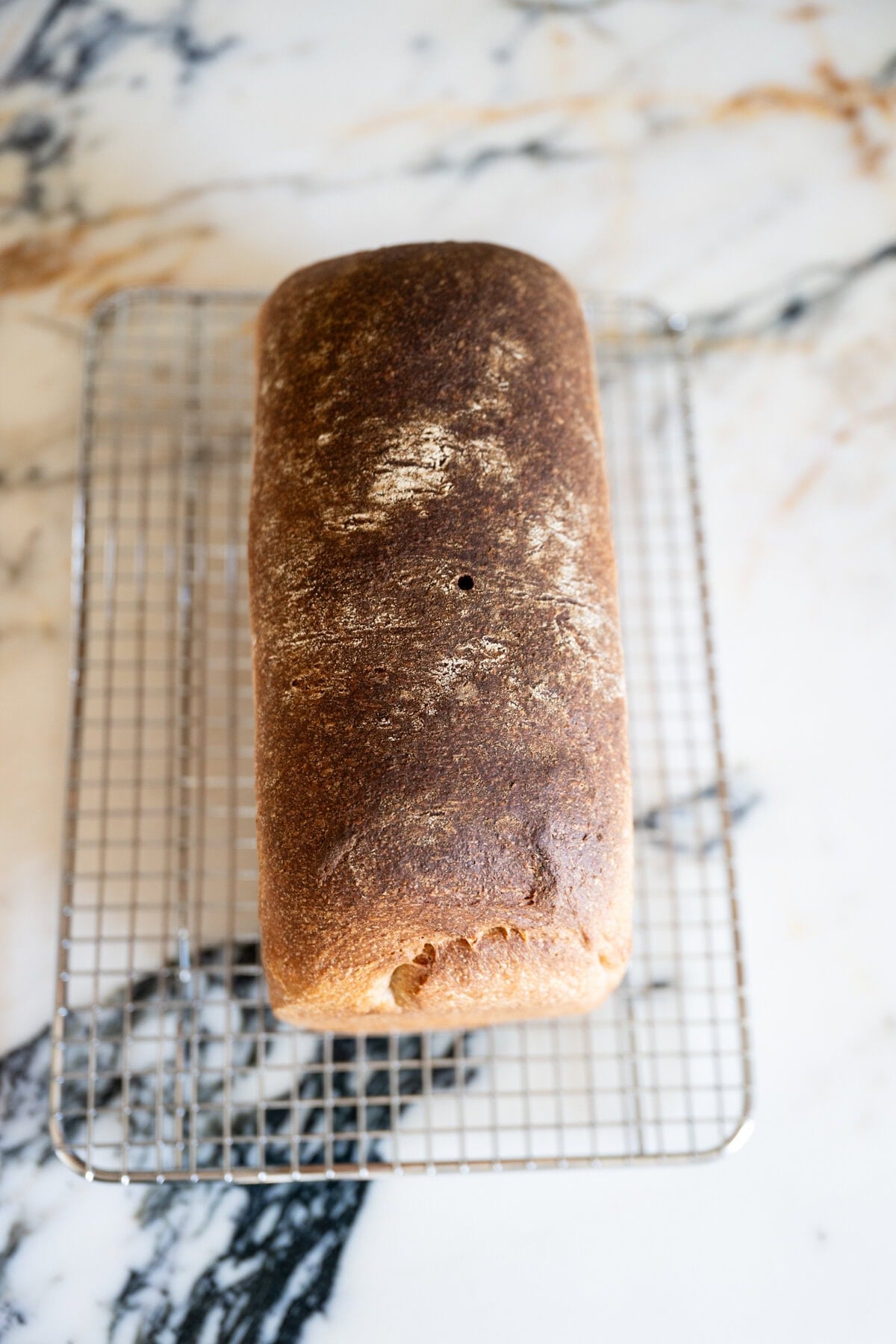 Baked whole wheat sourdough sandwich bread loaf fresh from the oven on a wire rack