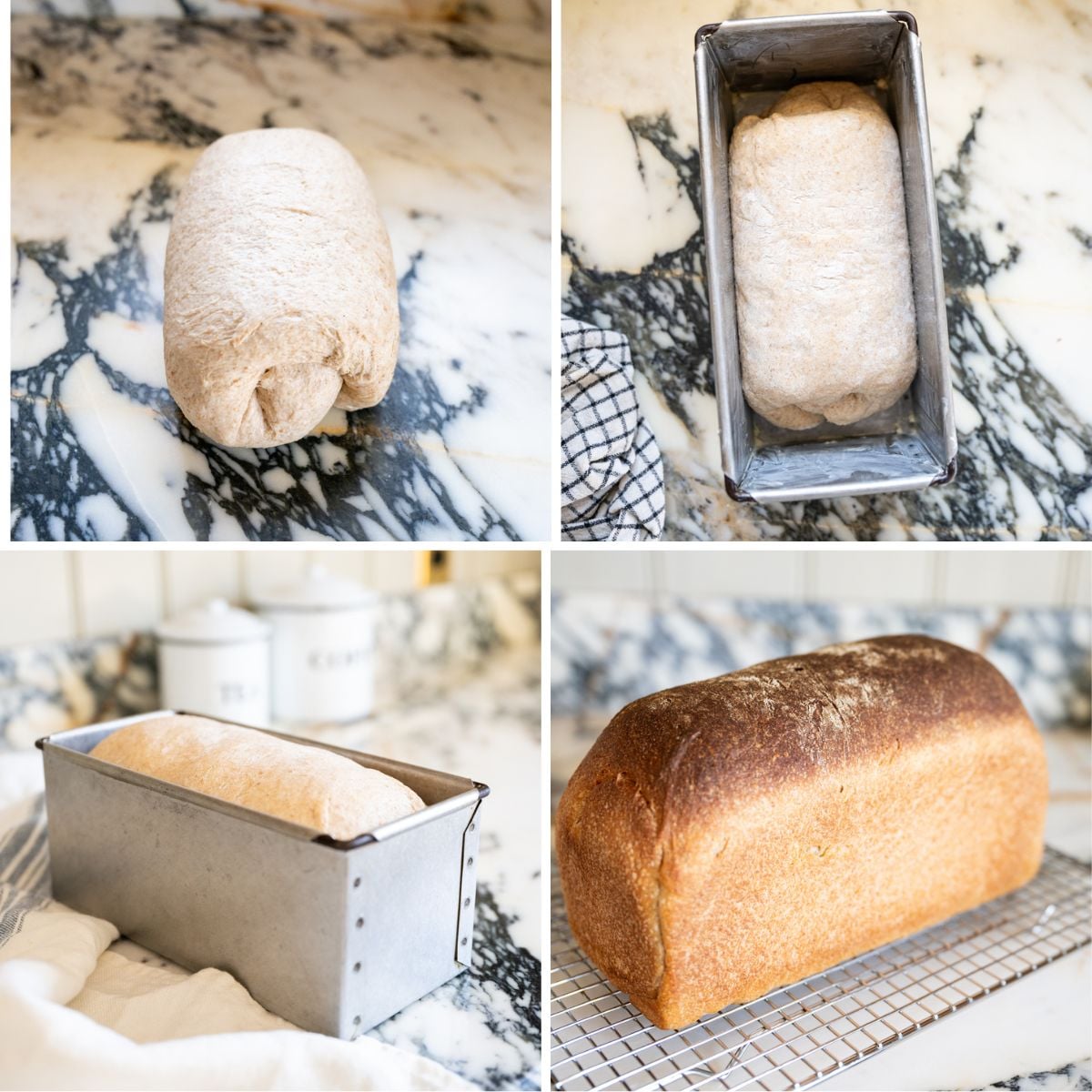 A four-panel image showing stages of making whole wheat sourdough sandwich bread: shaped dough on a marble counter, dough in a loaf pan, risen dough in the pan, and a baked golden-brown loaf cooling on a wire rack.