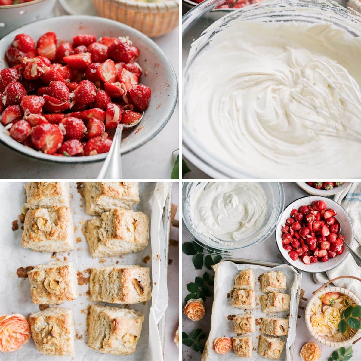 A collage of four images: sugared strawberries in a bowl, whipped cream in a bowl, baked biscuits on parchment paper, and a table set for strawberry shortcake with biscuits—scones, whipped cream, and strawberries ready for serving.